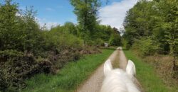 Écurie sans travaux proche de Rouen