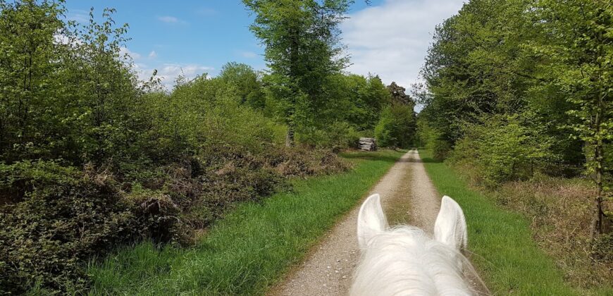 Écurie sans travaux proche de Rouen