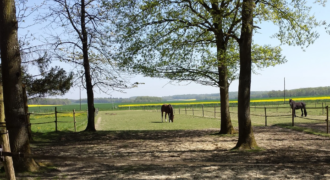 Écurie 9ha5 dans les Yvelines (78) Écurie 9ha5 dans les Yvelines (78)