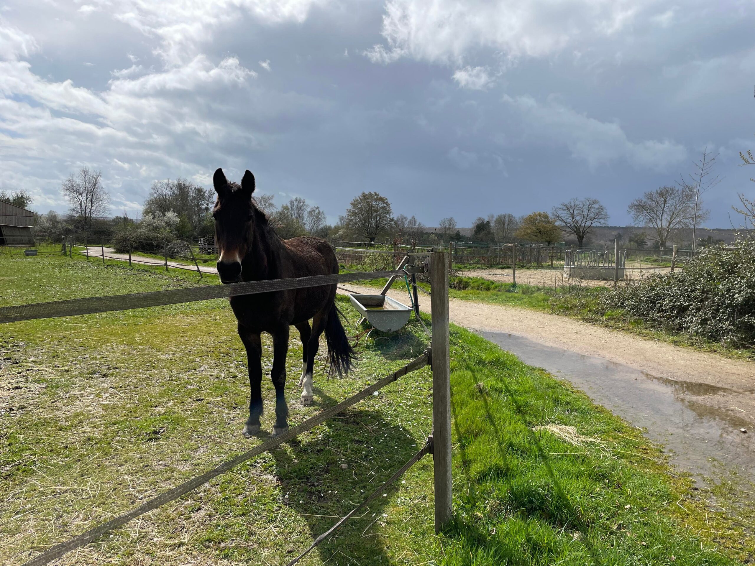 Écurie sans travaux proche de Rouen