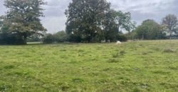 Propriété équestre sur 9ha95 Propriété équestre sur 9ha95