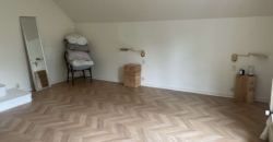 Écurie proche Paris 5ha