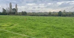 Propriété équestre sur 9ha95 Propriété équestre sur 9ha95