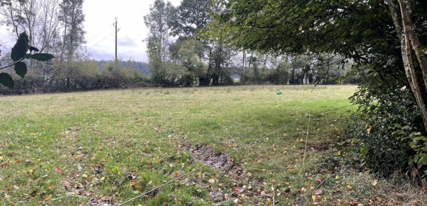 Propriété équestre sur 9ha95