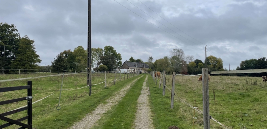 Propriété équestre sur 9ha95