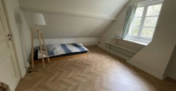 Écurie proche Paris 5ha