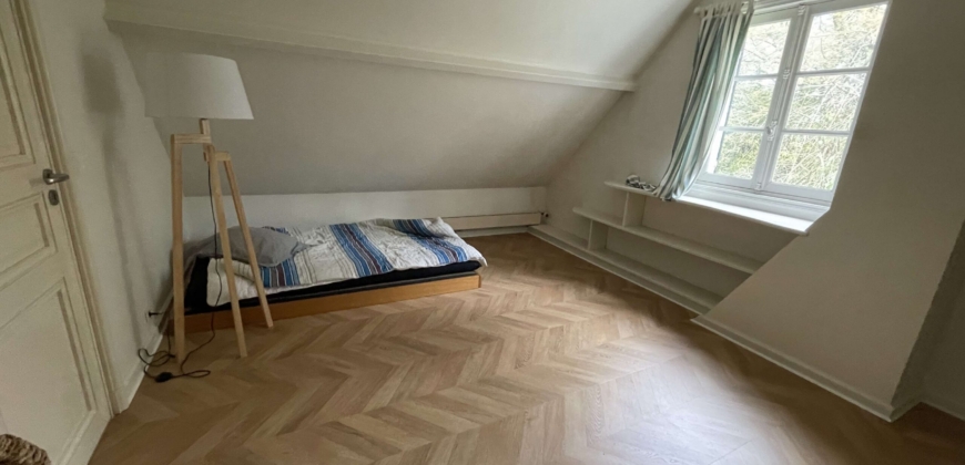 Écurie proche Paris 5ha