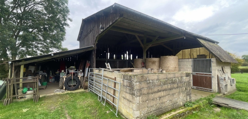 Propriété équestre sur 9ha95