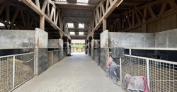 Écurie de course sur 15 ha