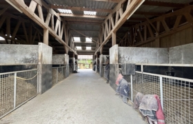Écurie de course sur 15 ha