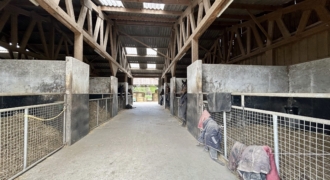 Écurie de course sur 15 ha Écurie de course sur 15 ha