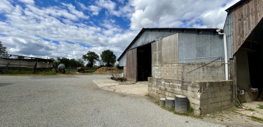 Écurie de course sur 15 ha