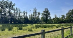 Domaine avec gites sur 3ha Domaine avec gites sur 3ha