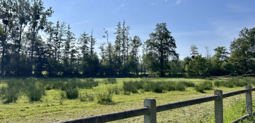 Domaine avec gites sur 3ha
