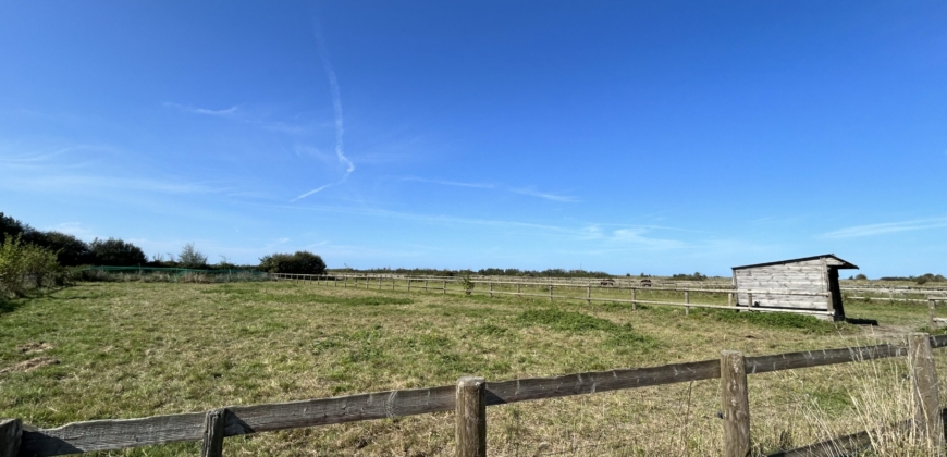 Ecurie sur 10,5 ha – Baie du Mont Saint Michel