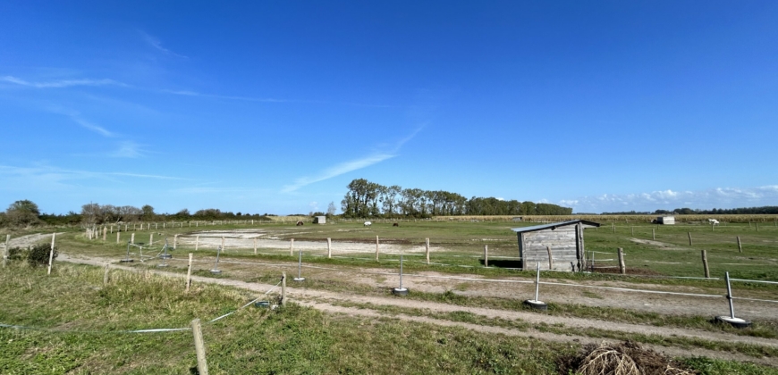 Ecurie sur 10,5 ha – Baie du Mont Saint Michel