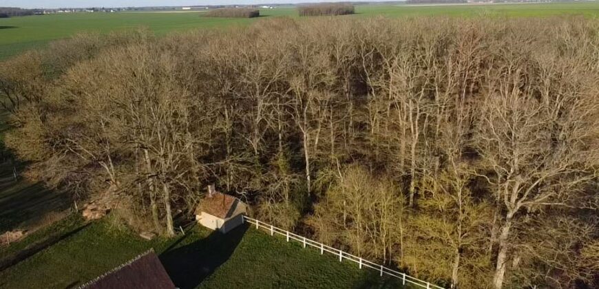 Propriété privée de 6ha entre Évreux et Verneuil sur Avre