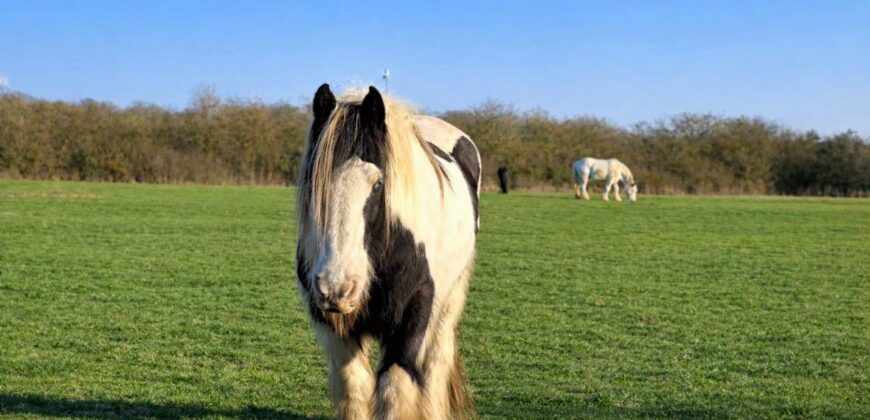 Propriété privée de 6ha entre Évreux et Verneuil sur Avre