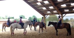 Écurie sans travaux proche de Rouen