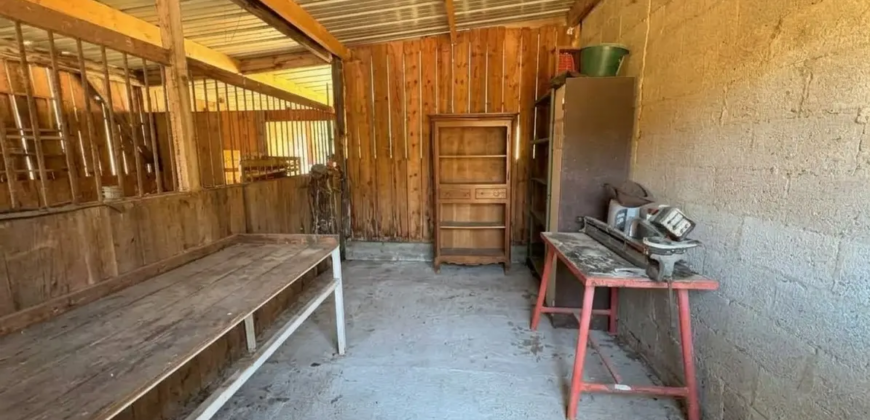 Écurie d’élevage privée sur 3ha