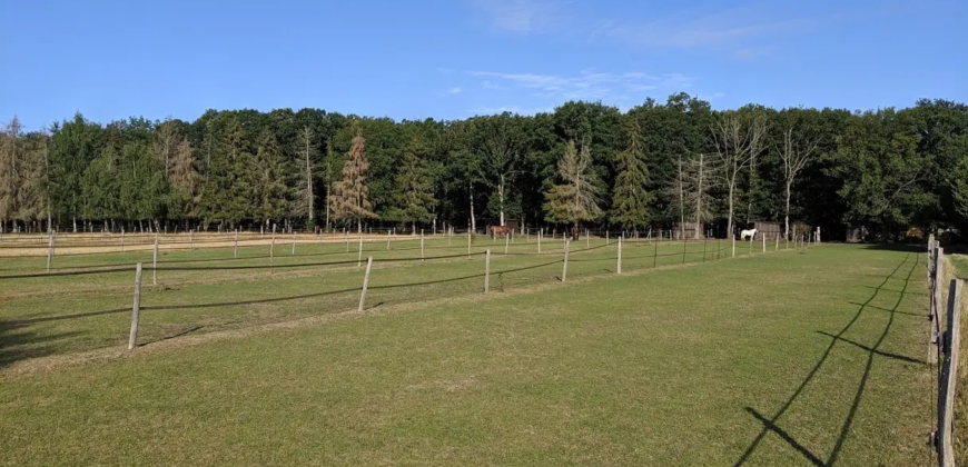 Écurie 9ha5 dans les Yvelines (78)
