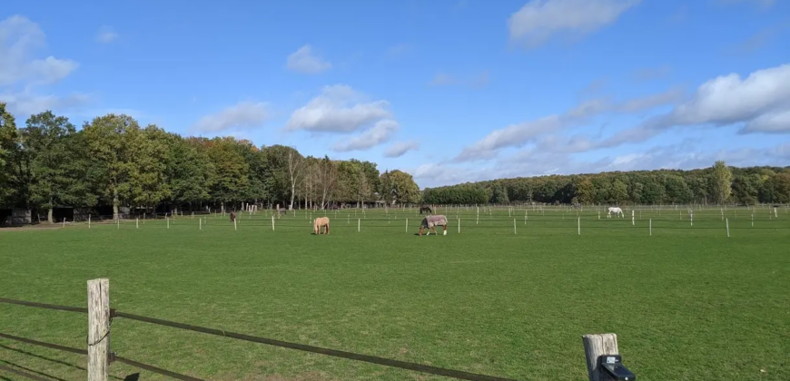 Écurie 9ha5 dans les Yvelines (78)