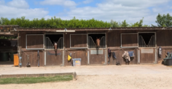 Écurie privée entre Évreux et Damville