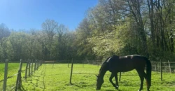 Écurie privée entre Évreux et Damville