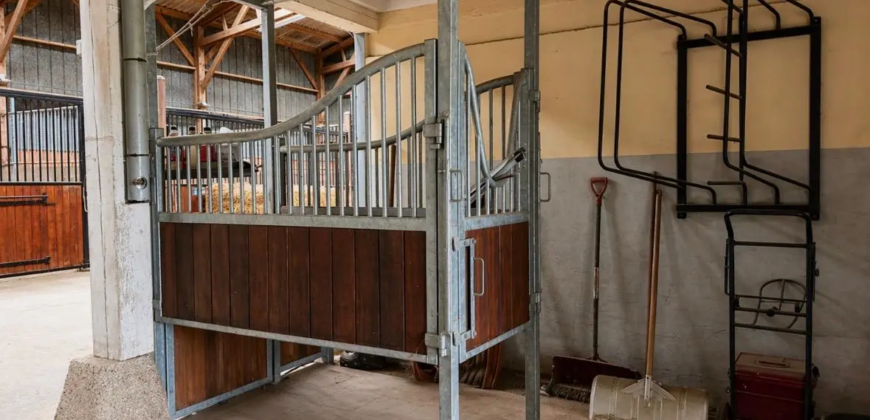 Haras de 11ha avec plusieurs logements/gîtes
