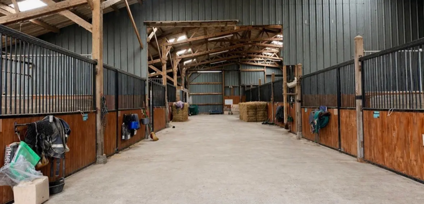 Haras de 11ha avec plusieurs logements/gîtes