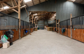 Haras de 11ha avec plusieurs logements/gîtes